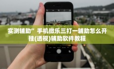 实测辅助”手机微乐三打一辅助怎么开挂(透视)辅助软件教程