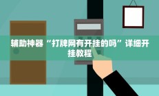 教程辅助“蛮王大厅开挂透视(透视)辅助软件教程