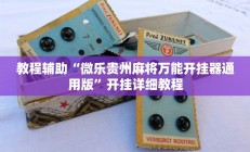 实测辅助”七彩佬腌菜挂怎么安装”开挂详细教程