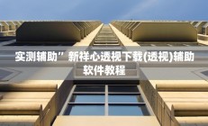 实测辅助”新祥心透视下载(透视)辅助软件教程