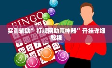 实测辅助”打牌网助赢神器”开挂详细教程