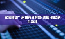 实测辅助”人海大厅透视开挂”开挂详细教程