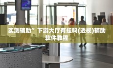 实测辅助”下游大厅有挂吗(透视)辅助软件教程
