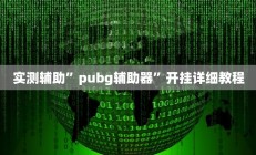 实测辅助”pubg辅助器”开挂详细教程