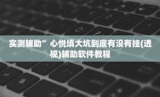 实测辅助”心悦填大坑到底有没有挂(透视)辅助软件教程