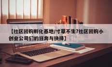 【社区团购孵化基地/寸草不生?社区团购小创业公司们的狂奔与抉择】