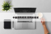 中国团购现状/团购的现状