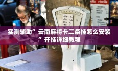 实测辅助”云南麻将卡二条挂怎么安装”开挂详细教程