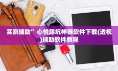 实测辅助”心悦踢坑神器软件下载(透视)辅助软件教程