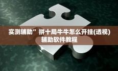 实测辅助”欢乐龙城辅助开挂”开挂详细教程