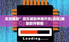 实测辅助”微乐辅助神器开挂(透视)辅助软件教程