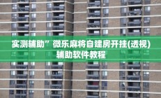 实测辅助”微乐麻将自建房开挂(透视)辅助软件教程