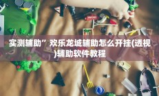 实测辅助”欢乐龙城辅助怎么开挂(透视)辅助软件教程