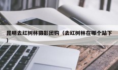 昆明去红树林摄影团购（去红树林在哪个站下）