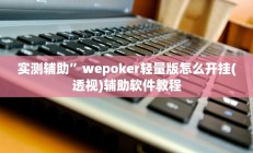 实测辅助”wepoker轻量版怎么开挂(透视)辅助软件教程