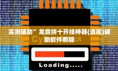 实测辅助”龙鼎拼十开挂神器(透视)辅助软件教程