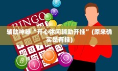 辅助神器“开心休闲辅助开挂”(原来确实是有挂)