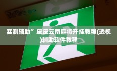 实测辅助”皮皮云南麻将开挂教程(透视)辅助软件教程