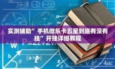 实测辅助”七彩佬腌菜挂怎么安装(透视)辅助软件教程