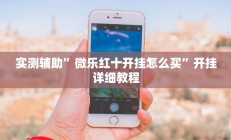 实测辅助”微乐红十开挂怎么买”开挂详细教程