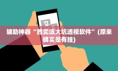 辅助神器“胜奕填大坑透视软件”(原来确实是有挂)