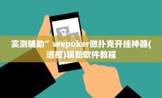 实测辅助”wepoker微扑克开挂神器(透视)辅助软件教程