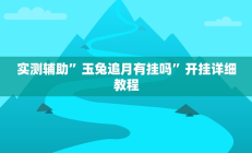 实测辅助”玉兔追月有挂吗”开挂详细教程