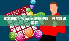 实测辅助”Winner助赢神器”开挂详细教程