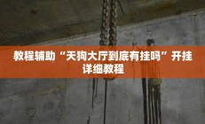 实测辅助”新蛮王大厅有透视挂吗(透视)辅助软件教程