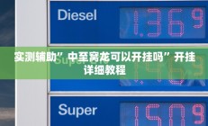 实测辅助”中至窝龙可以开挂吗”开挂详细教程