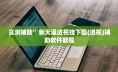 实测辅助”新天道透视挂下载(透视)辅助软件教程