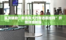 实测辅助”新青鸟大厅有透视挂吗”开挂详细教程