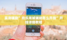 实测辅助”欢乐龙城辅助怎么开挂”开挂详细教程