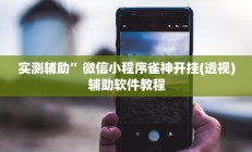 实测辅助”微信小程序雀神开挂(透视)辅助软件教程