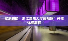 实测辅助”浙江游戏大厅透视器”开挂详细教程