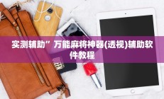 实测辅助”二八杠开挂透视(透视)辅助软件教程