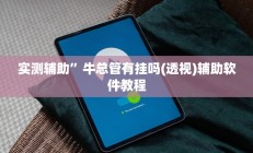 实测辅助”牛总管有挂吗(透视)辅助软件教程