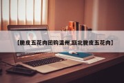 【脆皮五花肉团购温州,瓯北脆皮五花肉】