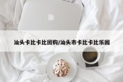 汕头卡比卡比团购/汕头市卡比卡比乐园