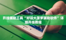 开挂辅助工具“好运大菠萝辅助软件”详细开挂教程