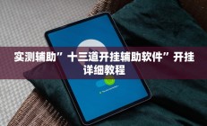 实测辅助”十三道开挂辅助软件”开挂详细教程