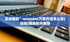 实测辅助”wepoker万能开挂怎么买(透视)辅助软件教程