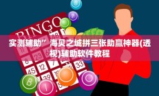 实测辅助”随身十三道有挂吗(透视)辅助软件教程