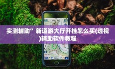 实测辅助”口袋上饶开挂神器”开挂详细教程