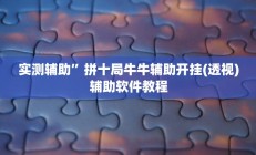 实测辅助”新版德扑之星助赢神器”开挂详细教程