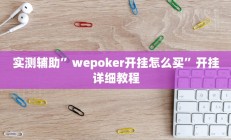 实测辅助”wepoker开挂怎么买”开挂详细教程