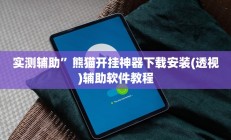 实测辅助”熊猫开挂神器下载安装(透视)辅助软件教程