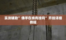 实测辅助”佛手在线有挂吗”开挂详细教程