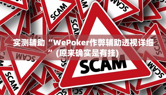 实测辅助“WePoker作弊辅助透视详细”(原来确实是有挂)