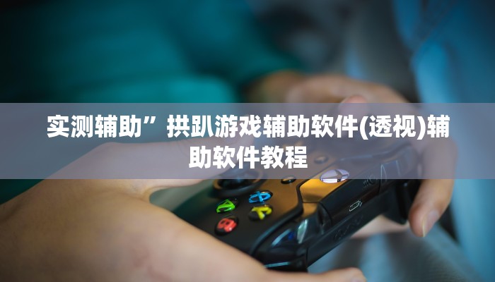 实测辅助”泸州大贰免费开挂器”其实确实有挂